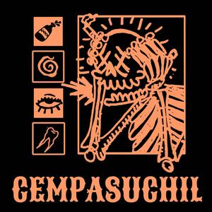 Costras (Album Version)