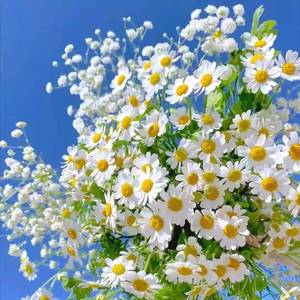 Meant to be（Prod by Rick1y）