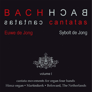 Geist und Seele wird verwirret, BWV 35: I. Sinfonia