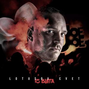 Bagradelik d.o.o. (feat. Chiro, Tarpe & Smirbe)