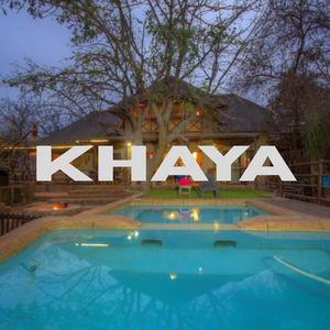 Khaya