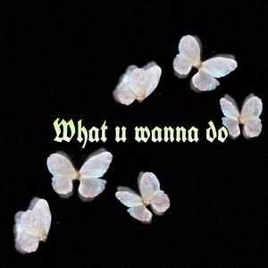 What u wanna do(demo)