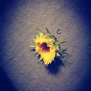 单纯（Prod. 4Hunnid）