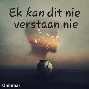 Ek kan dit nie verstaan nie