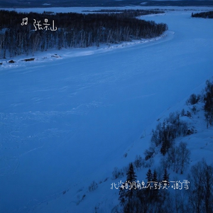 北海的月触不到漠河的雪