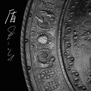 盾 pt.1