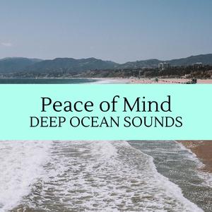 Bugs in the Nightforest