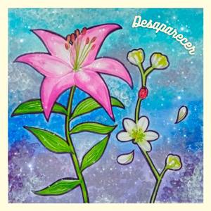 Desaparecer