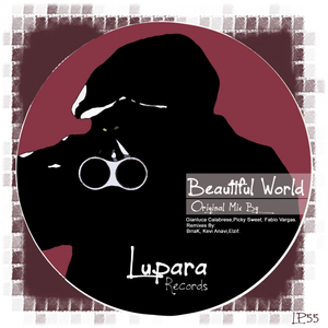 Beautiful World (Remix)