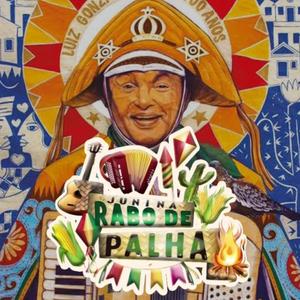 Luiz Gonzaga (Junina Rabo De Palha)