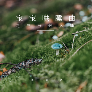 莫扎特流光幻想曲 (轻音乐)