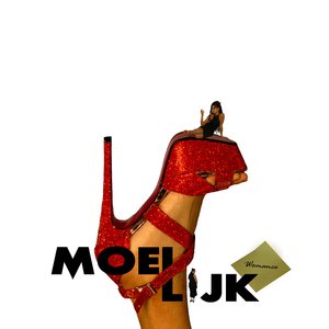 Moeilijk