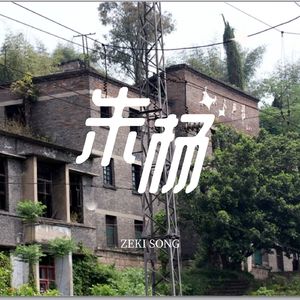 朱杨