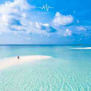 树林中的风- 钢琴 (安眠曲)