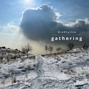 Gathering, Pt. 2