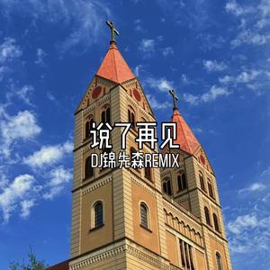 说了再见（DJ锦先森 Remix）