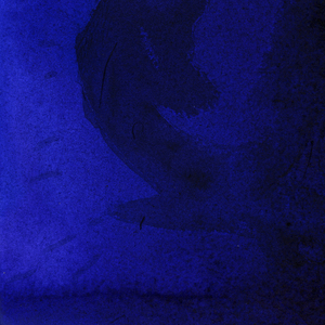 Caught My Eye - Edit