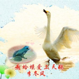 李冬风 - 癞蛤蟆爱上天鹅 (Dj版)