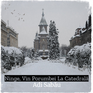 Ninge, Vin Porumbei La Catedrală