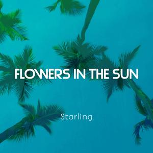Flowers In The Sun