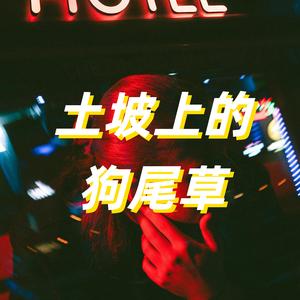 不将就 (DJ AOTMA Remix)