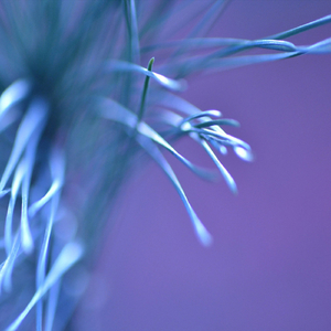 The Mist In Cherni Vrah (Original Mix)