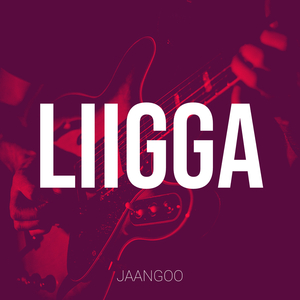 Liigga