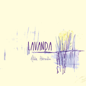 Lavanda