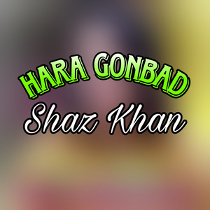 Hara Gonbad