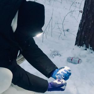 Сойкамдисс