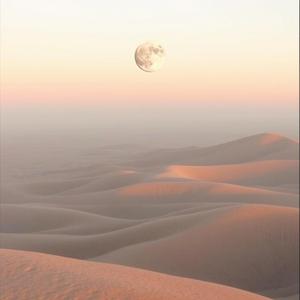 종이 달을 보며