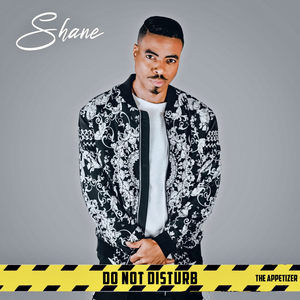 Falling in Love Remix (Money Zoe, Altrina Renee, Jelani)