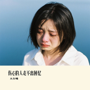 伤心的人走不出回忆