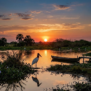 Pantanal em Canção