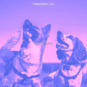 抚慰的小狗回忆