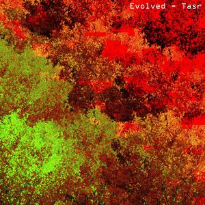 Evolved (Single)