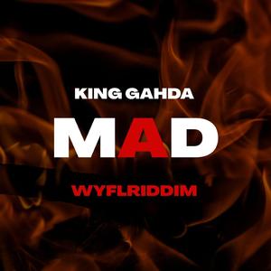 MAD (WYFL RIDDIM) (feat. DJ MAC & CrashDummy)