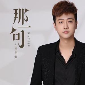 那一句（DJ版）