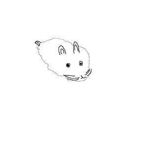 Sea Slug