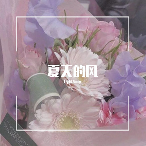 夏天的风