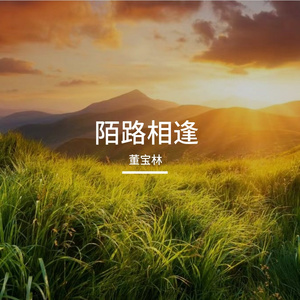 风笙渡流年