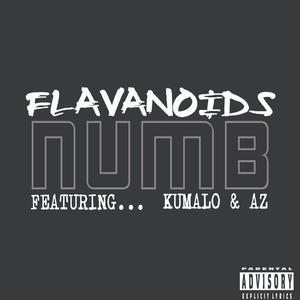 Numb (feat. Kumalo & AZ)