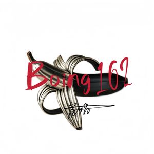 Boing 162