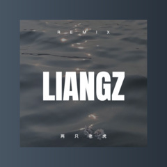 不再为爱情伤心落泪 (Remix)