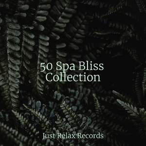 Enchanting Melodies Merge