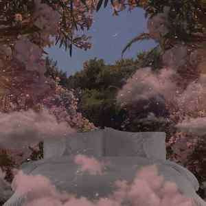 你的新年愿望是什么鸭.