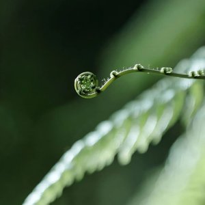 来自悟空传