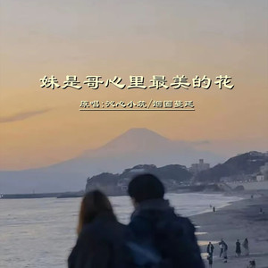 妹是哥心里最美的花DJ (对唱版)