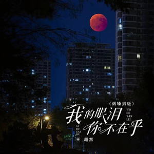 我的眼泪你不在乎 (辉煌版)