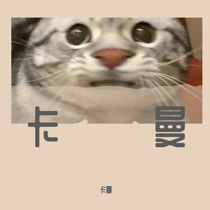 头文字T